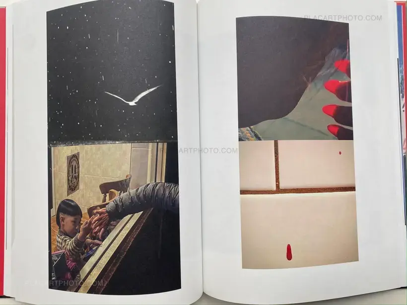 David Hughes – Impermanence