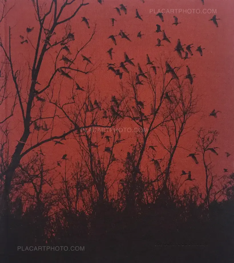 Vanessa Winship – She dances on Jackson