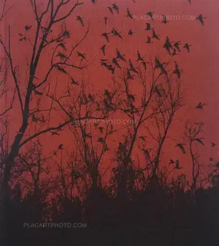 Vanessa Winship – She dances on Jackson