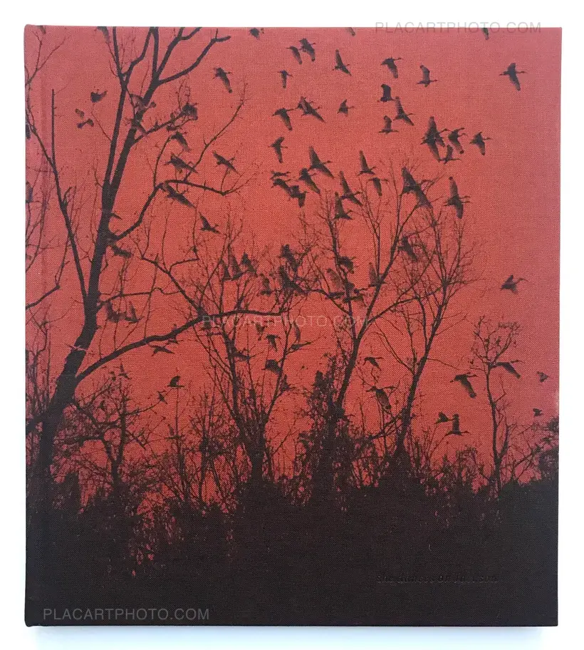 Vanessa Winship – She dances on Jackson