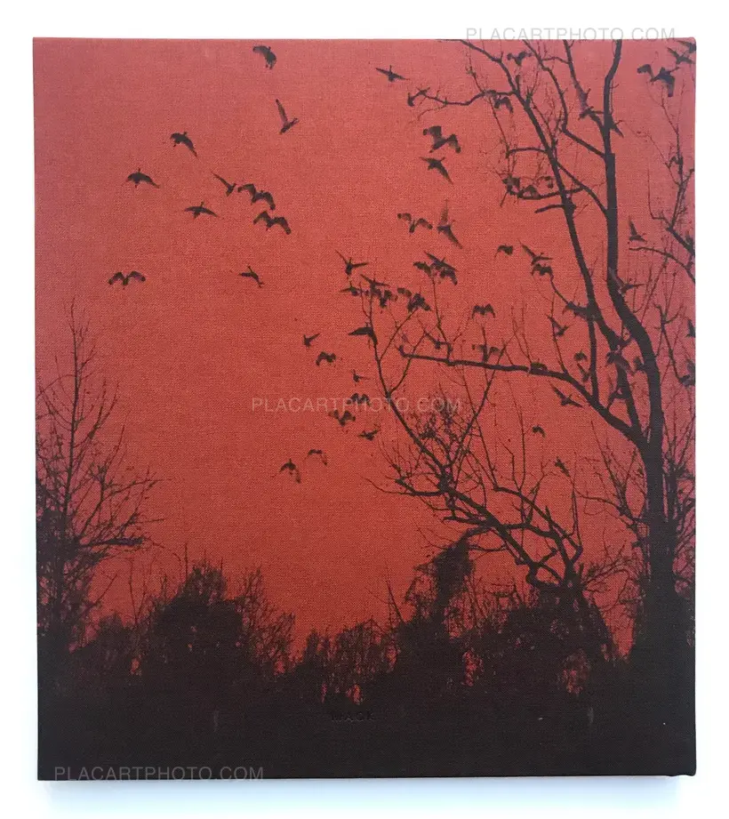 Vanessa Winship – She dances on Jackson