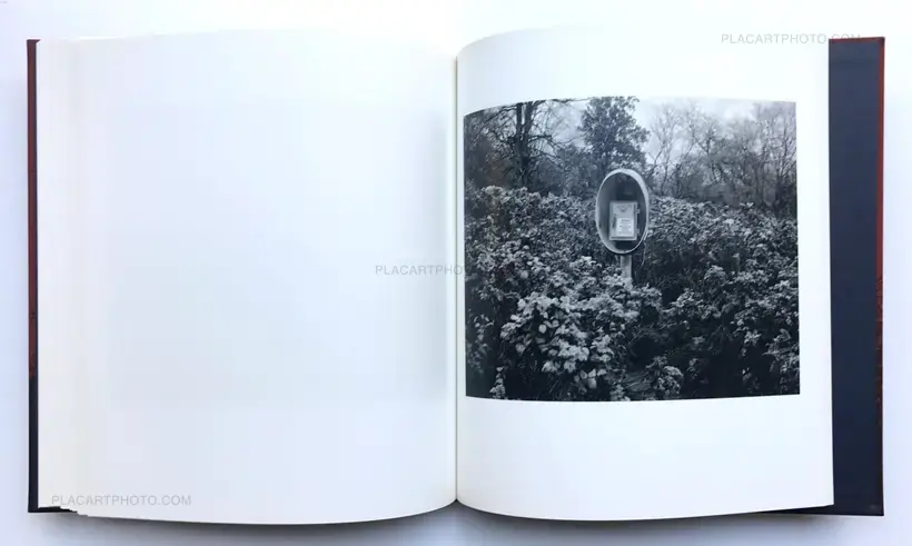 Vanessa Winship – She dances on Jackson