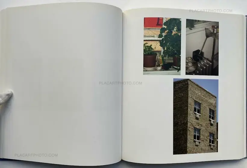 Roe Ethridge – Le Luxe (First edition)