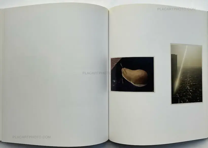 Roe Ethridge – Le Luxe (First edition)