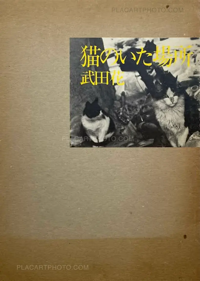 Hana Takeda – Where cats were / Neko no ita basho