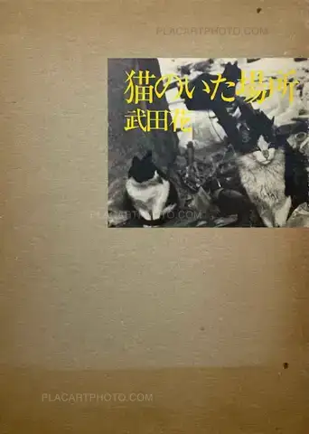 Hana Takeda – Where cats were / Neko no ita basho