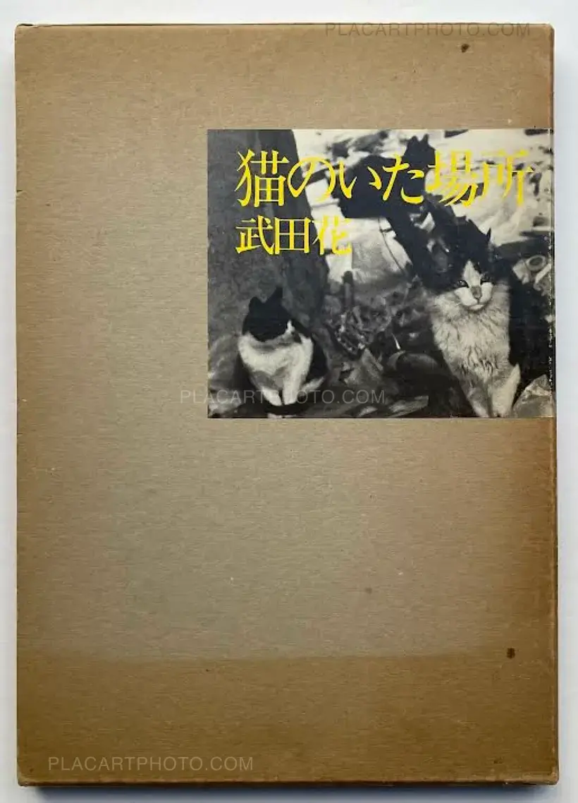 Hana Takeda – Where cats were / Neko no ita basho