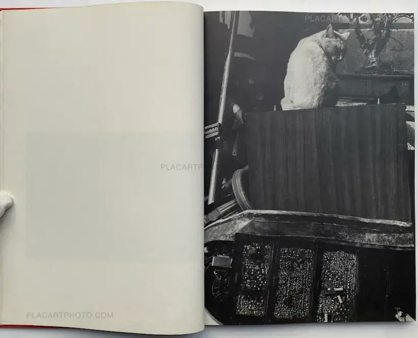 Hana Takeda – Where cats were / Neko no ita basho