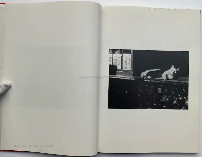 Hana Takeda – Where cats were / Neko no ita basho