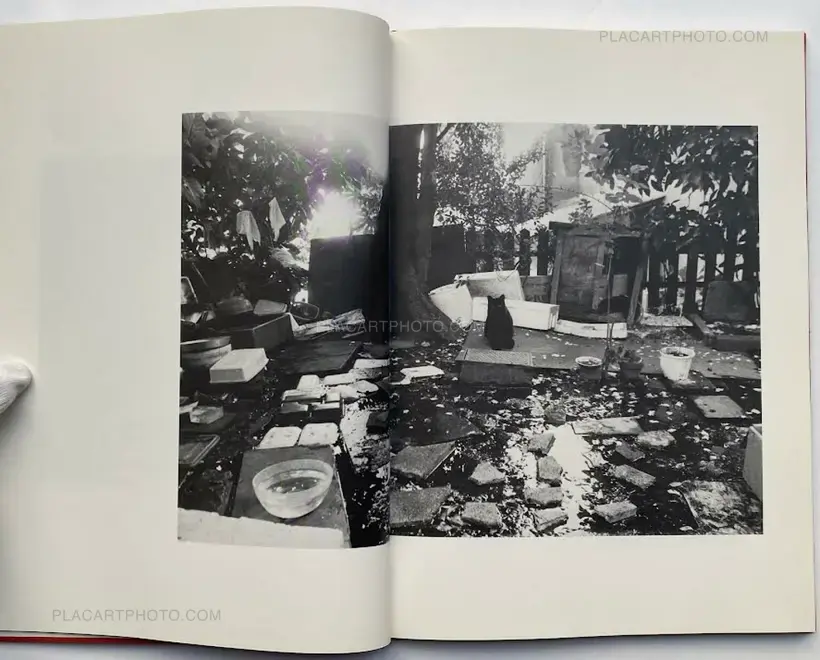 Hana Takeda – Where cats were / Neko no ita basho