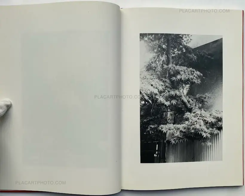 Hana Takeda – Where cats were / Neko no ita basho