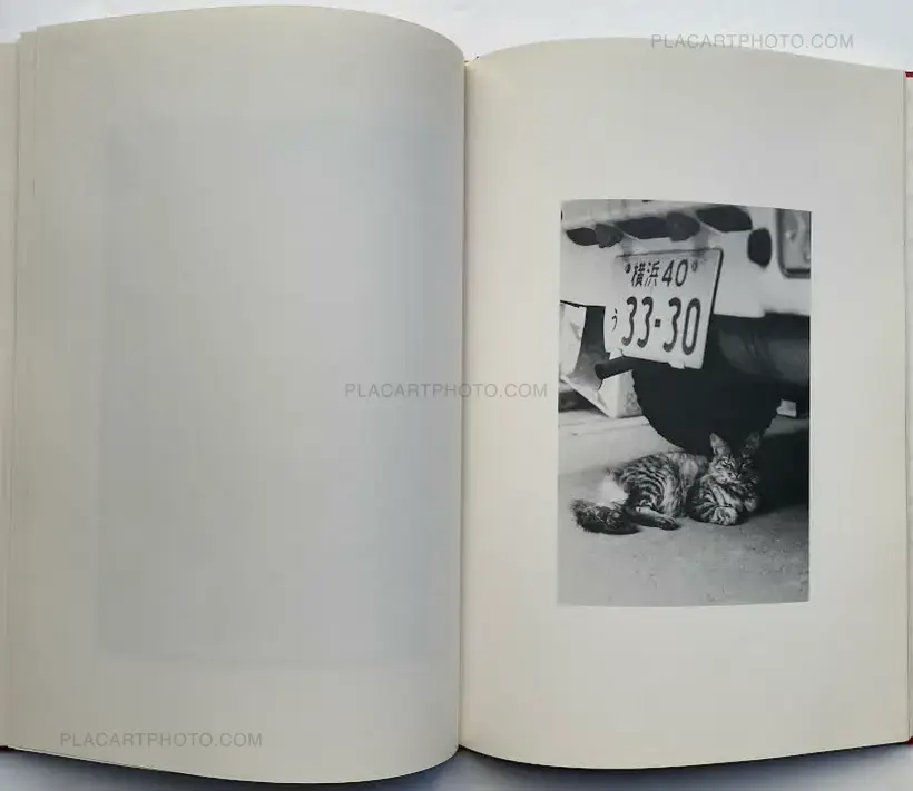Hana Takeda – Where cats were / Neko no ita basho