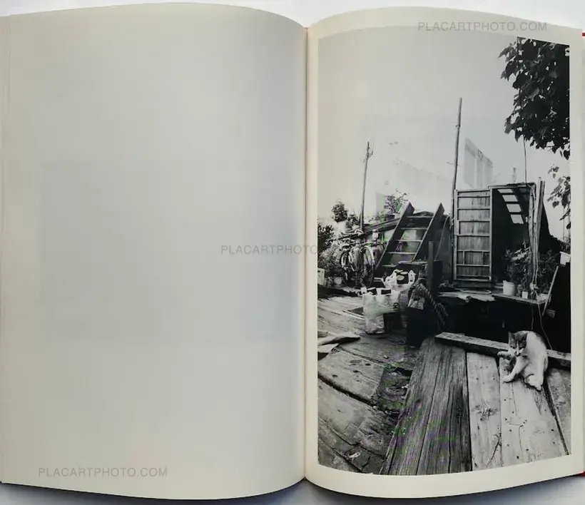 Hana Takeda – Where cats were / Neko no ita basho