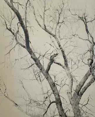 Mitch Epstein – NEW YORK ARBOR
