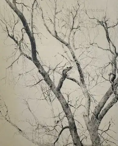 Mitch Epstein – NEW YORK ARBOR