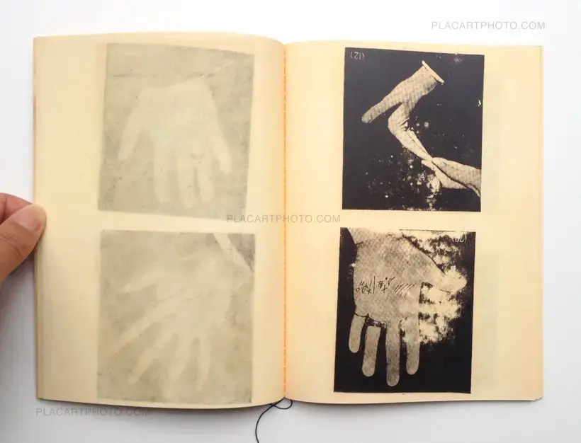 Tiane Doan na Champassak – Palms (Signed)