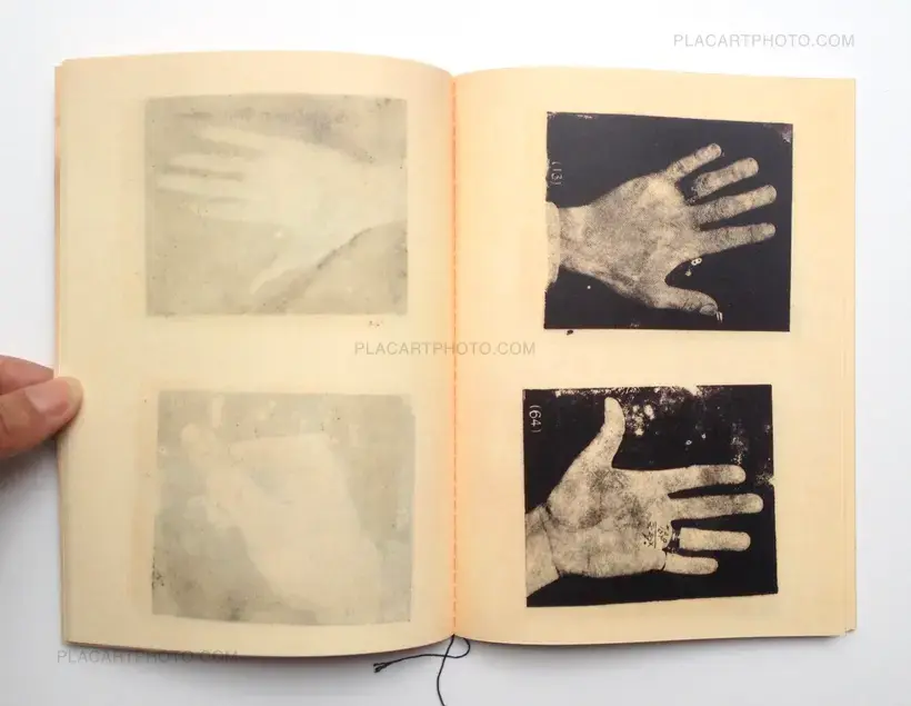Tiane Doan na Champassak – Palms (Signed)