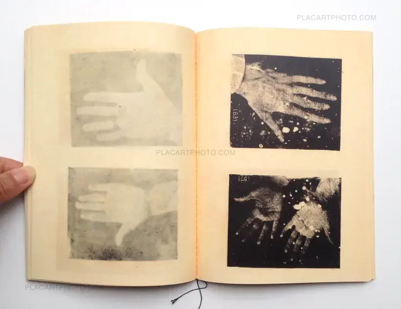Tiane Doan na Champassak – Palms (Signed)