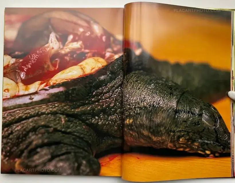 Kishin Shinoyama – SHOKU