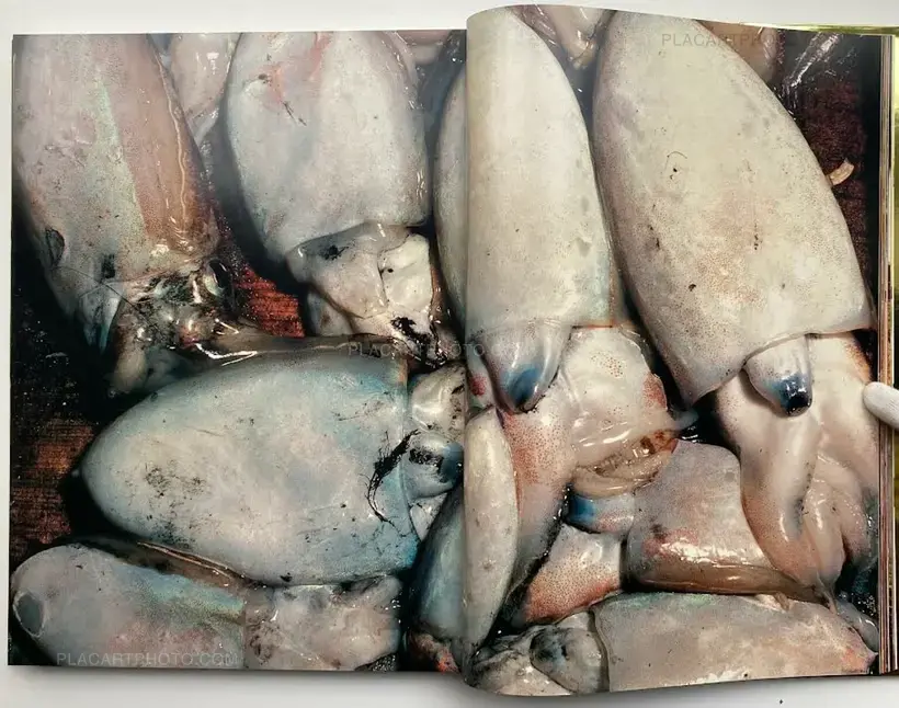 Kishin Shinoyama – SHOKU