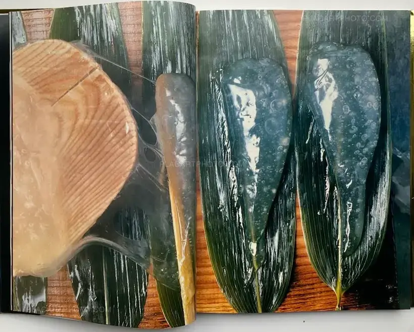 Kishin Shinoyama – SHOKU