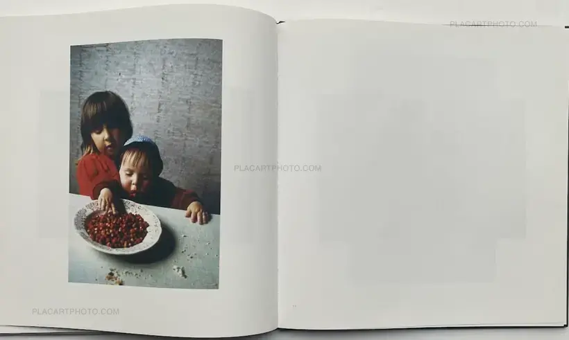 Klavdij Sluban – Livold family album 1978–1983