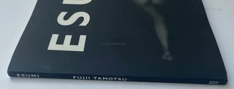 Tamotsu Fujii – ESUMI