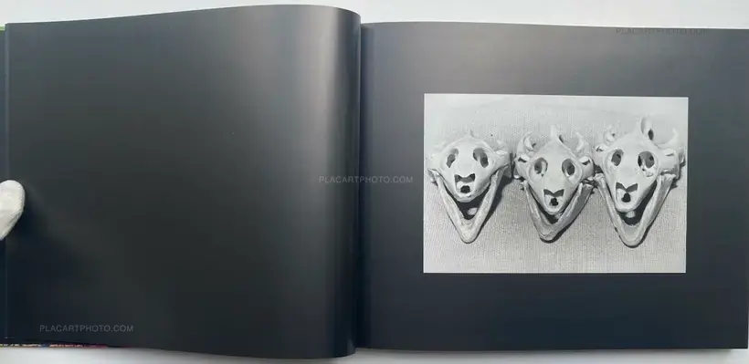 Masahisa Fukase – Private Scene