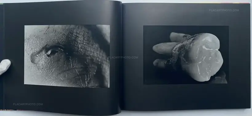 Masahisa Fukase – Private Scene