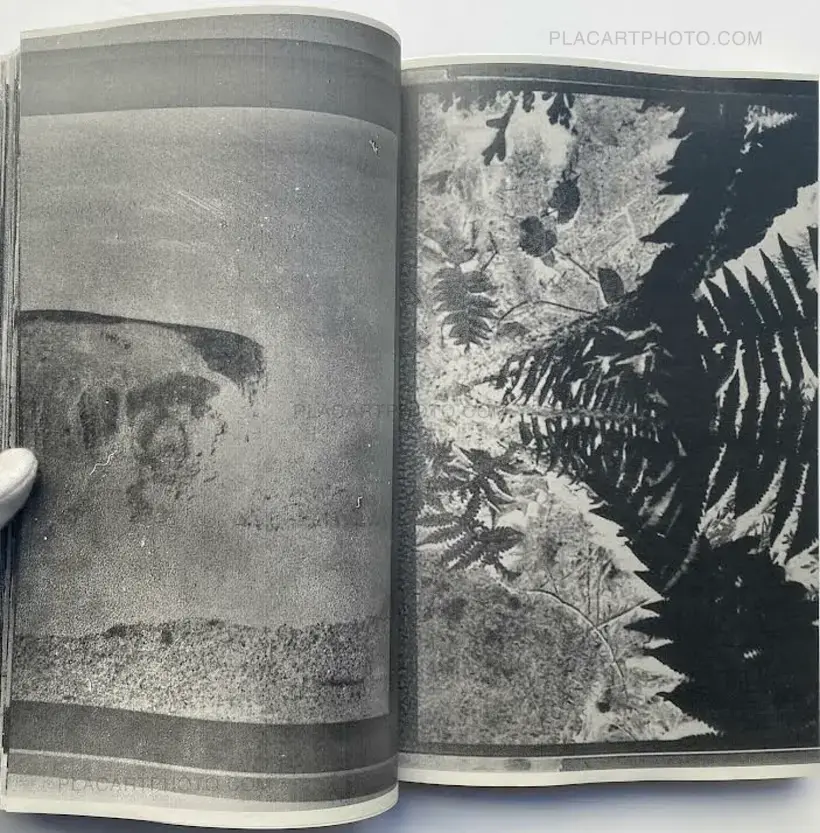 Daisuke Yokota – Inversion, Negative (Signed, display copy)