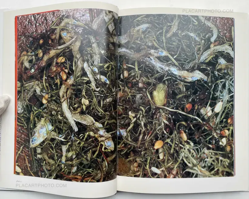 Nobuyoshi Araki – The Banquet