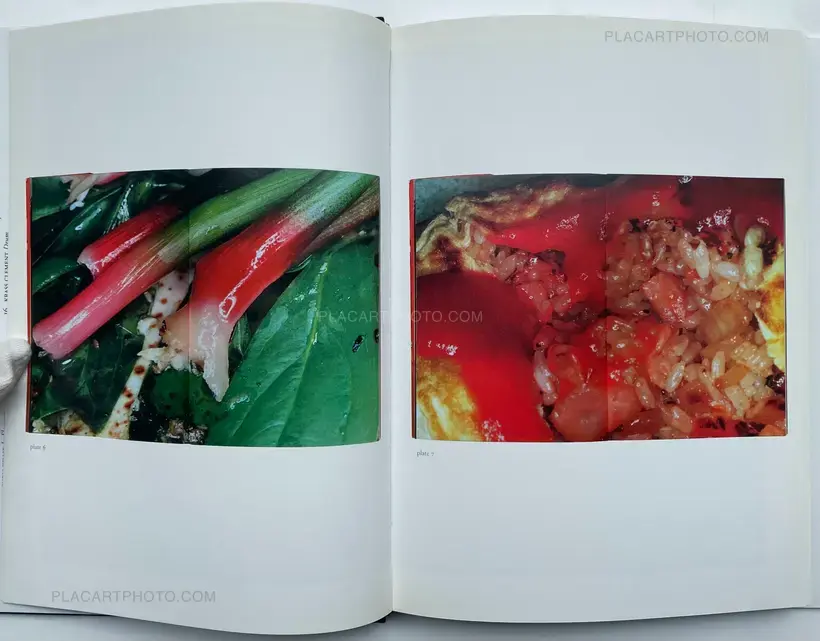 Nobuyoshi Araki – The Banquet