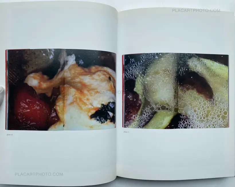 Nobuyoshi Araki – The Banquet