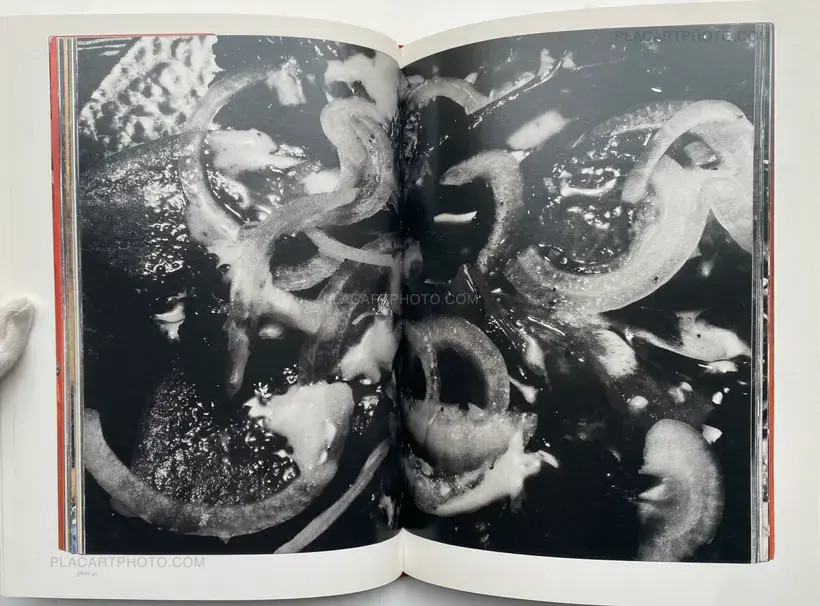 Nobuyoshi Araki – The Banquet