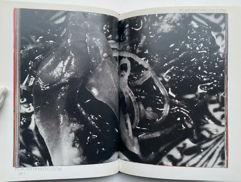 Nobuyoshi Araki – The Banquet