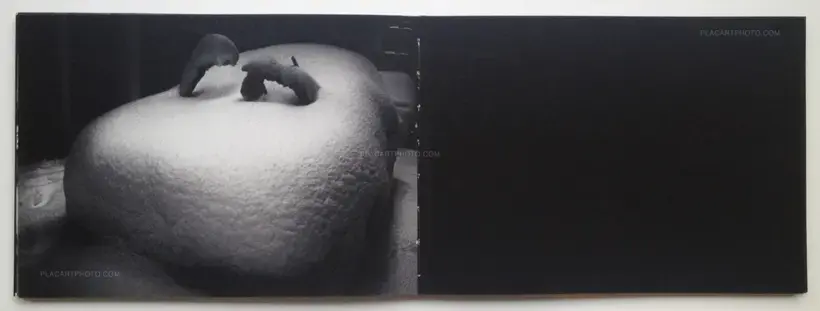 Tomasz Laczny – Cul de sac (handmade 79 copies)