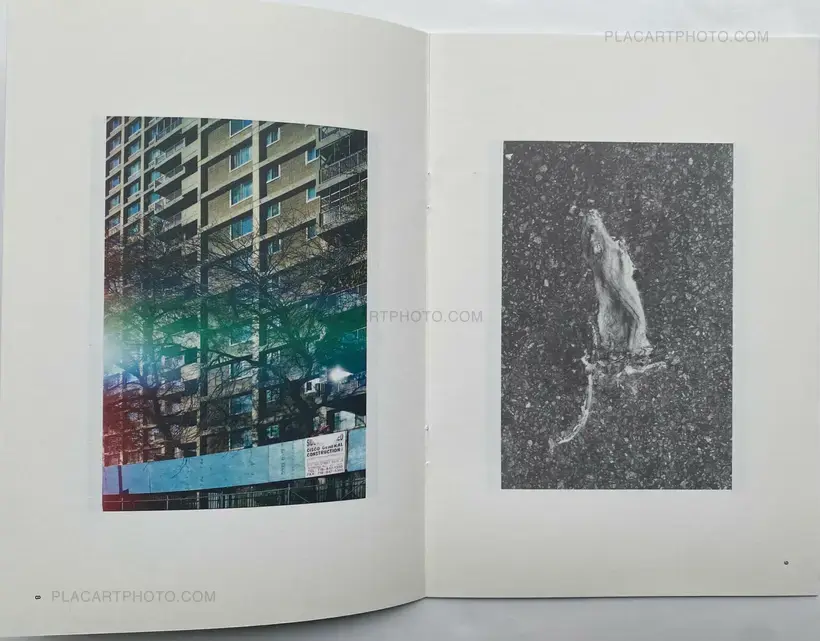 Collective – JP_ EN Issue.1 & Issue.2