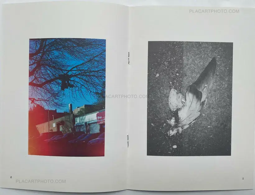 Collective – JP_ EN Issue.1 & Issue.2