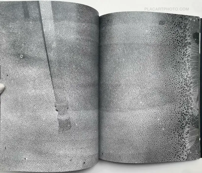Collective – CLASSON (Signed by both artists)