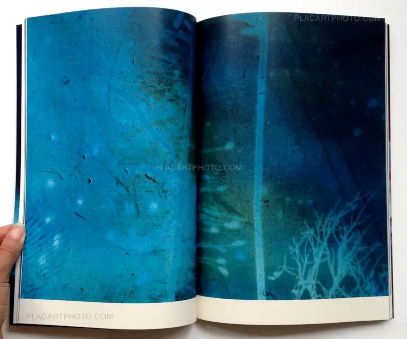 Daisuke Yokota – SET OF LINGER (SIGNED) + TEIKAI + IMMERSE (SIGNED)