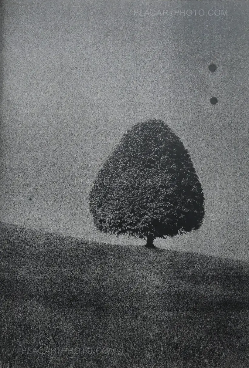 Daisuke Yokota – Site