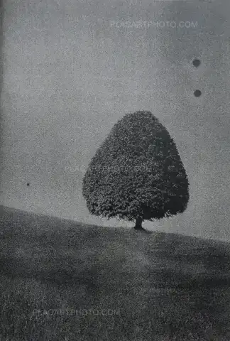 Daisuke Yokota – Site