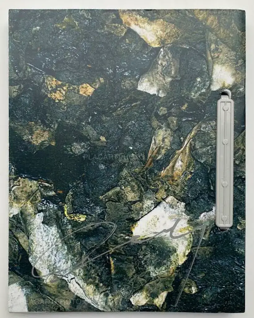Daisuke Yokota – Cool in the Pool (Signed)