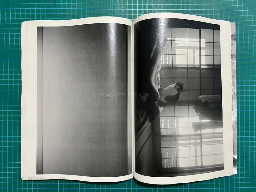 Daisuke Yokota – Matter 2024 (SIGNED)