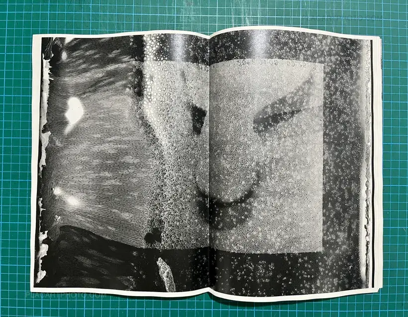 Daisuke Yokota – Matter 2024 (SIGNED)