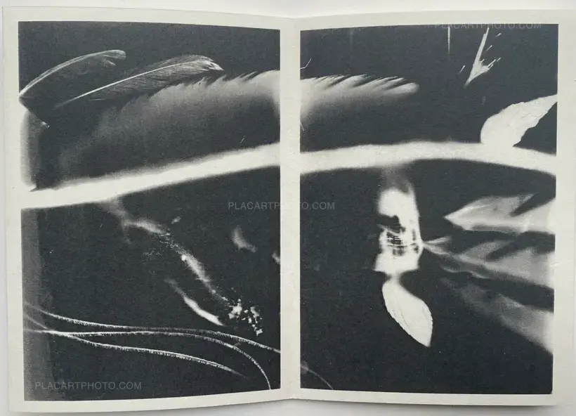 Philippine Schaefer – Life and Rebirth of Quetzacoatl (Signed, edt of 50)