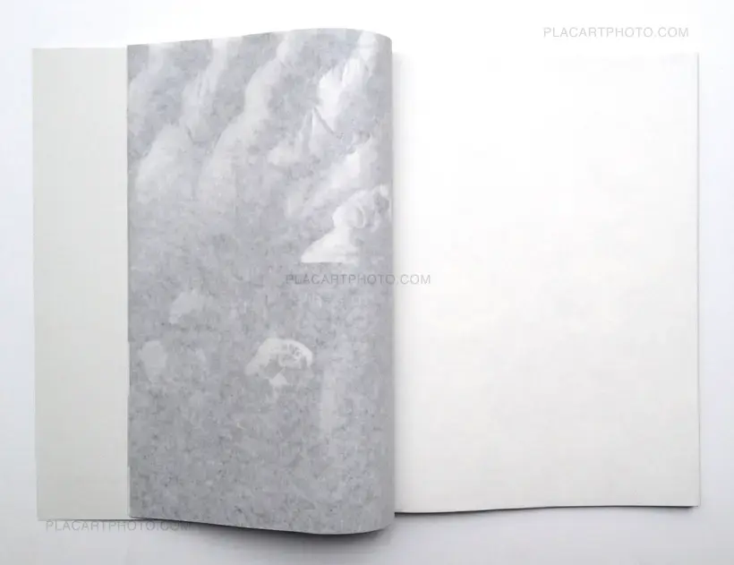 Rosana Simonassi – Reconstrucción