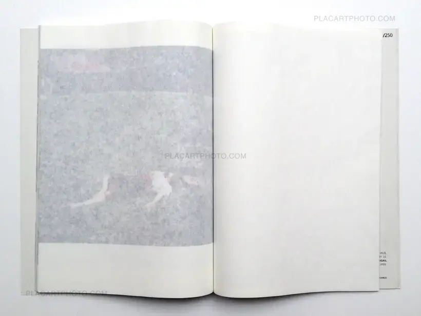 Rosana Simonassi – Reconstrucción