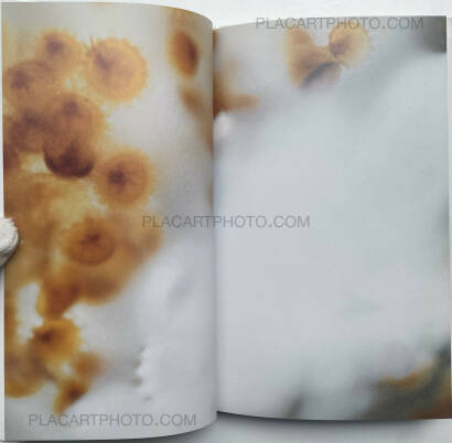 Tokiko Suzuki,THE JELLY FISH Tokiko Suzuki,THE JELLY FISH
