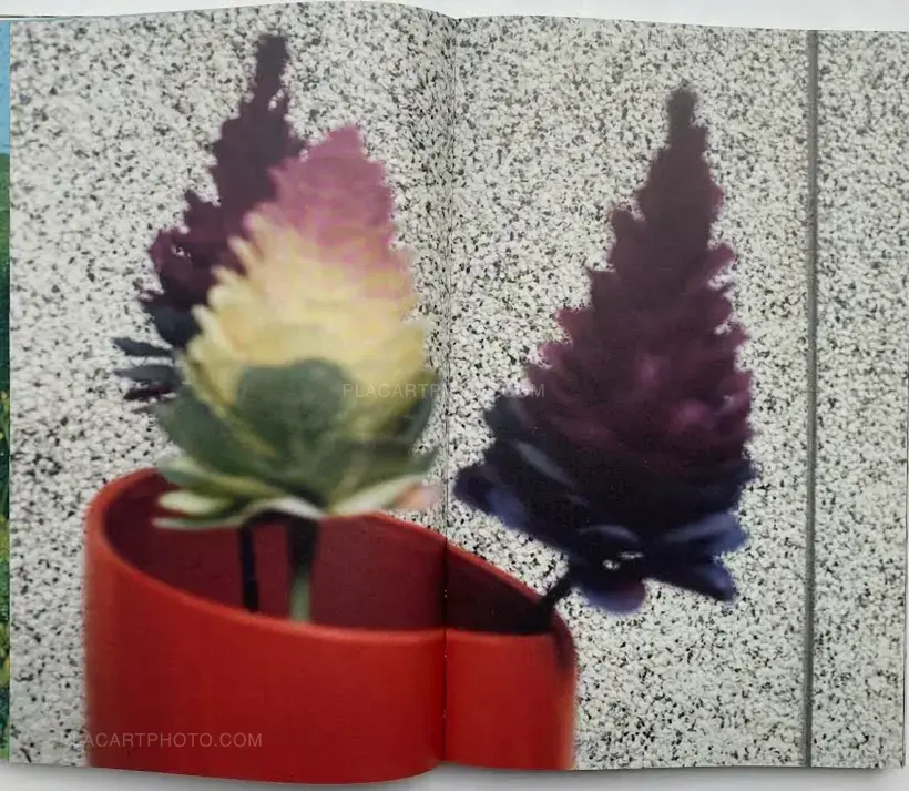Yoko Ikeda – Contrepoint (Signed and numbered, edt of 500)